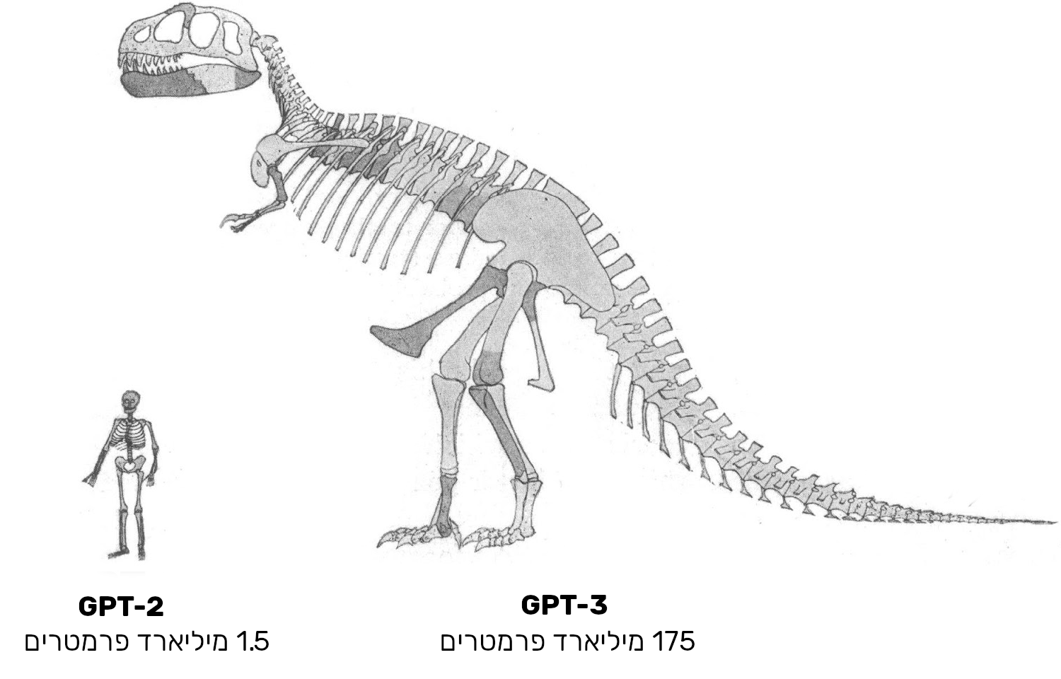 Approximate-size-comparison-of-GPT-2